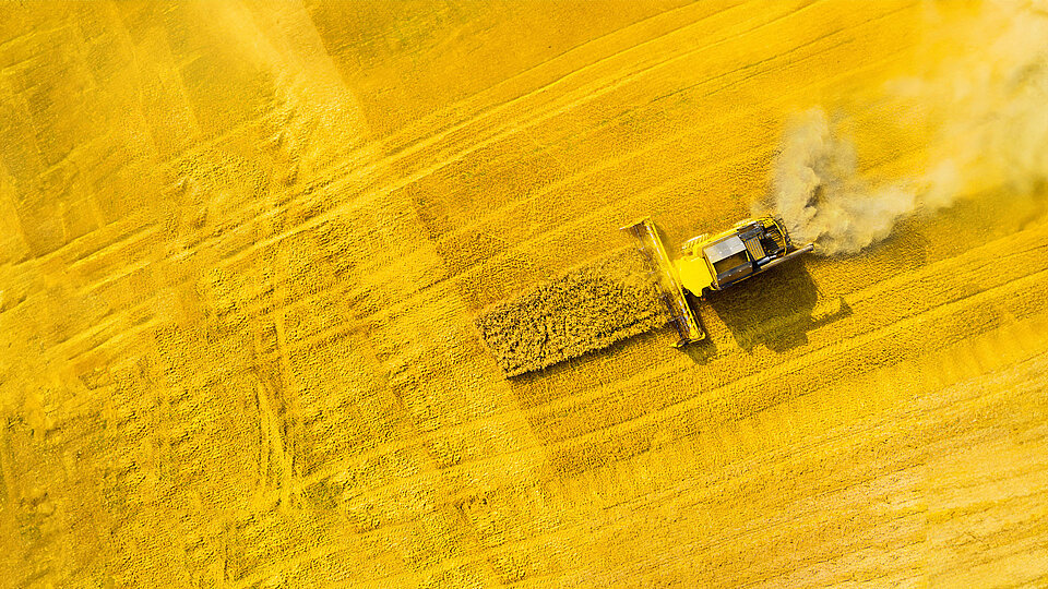 Ein gelber Mähdrescher erntet ein goldenes Getreidefeld und hinterlässt eine Spur aus Stroh und Staub.