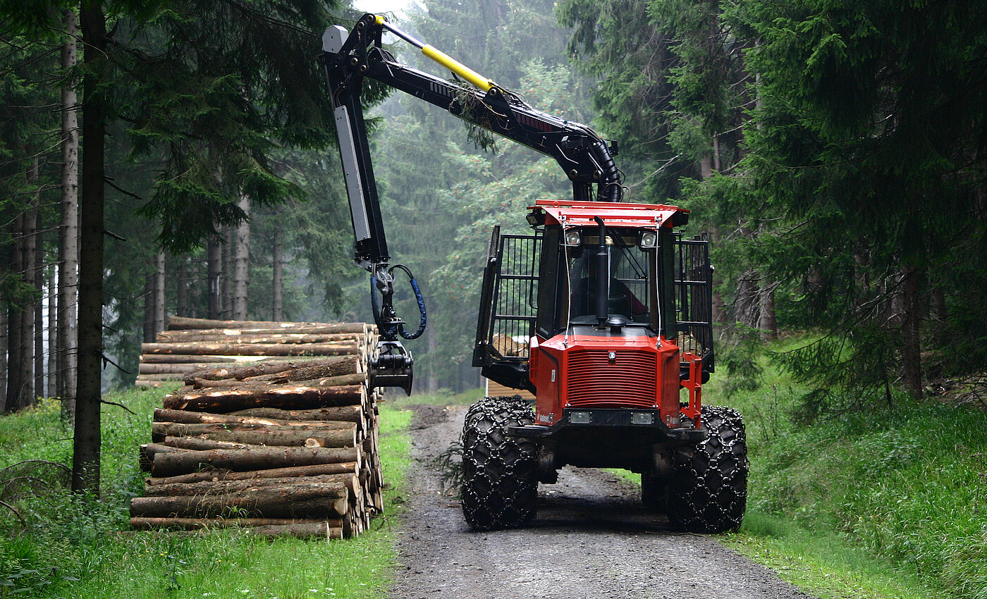 Ein Forstmaschine transportiert auf einem Waldweg gestapeltes Holz durch einen grünen Wald.