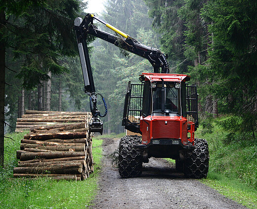 Ein Forstmaschine transportiert auf einem Waldweg gestapeltes Holz durch einen grünen Wald.
